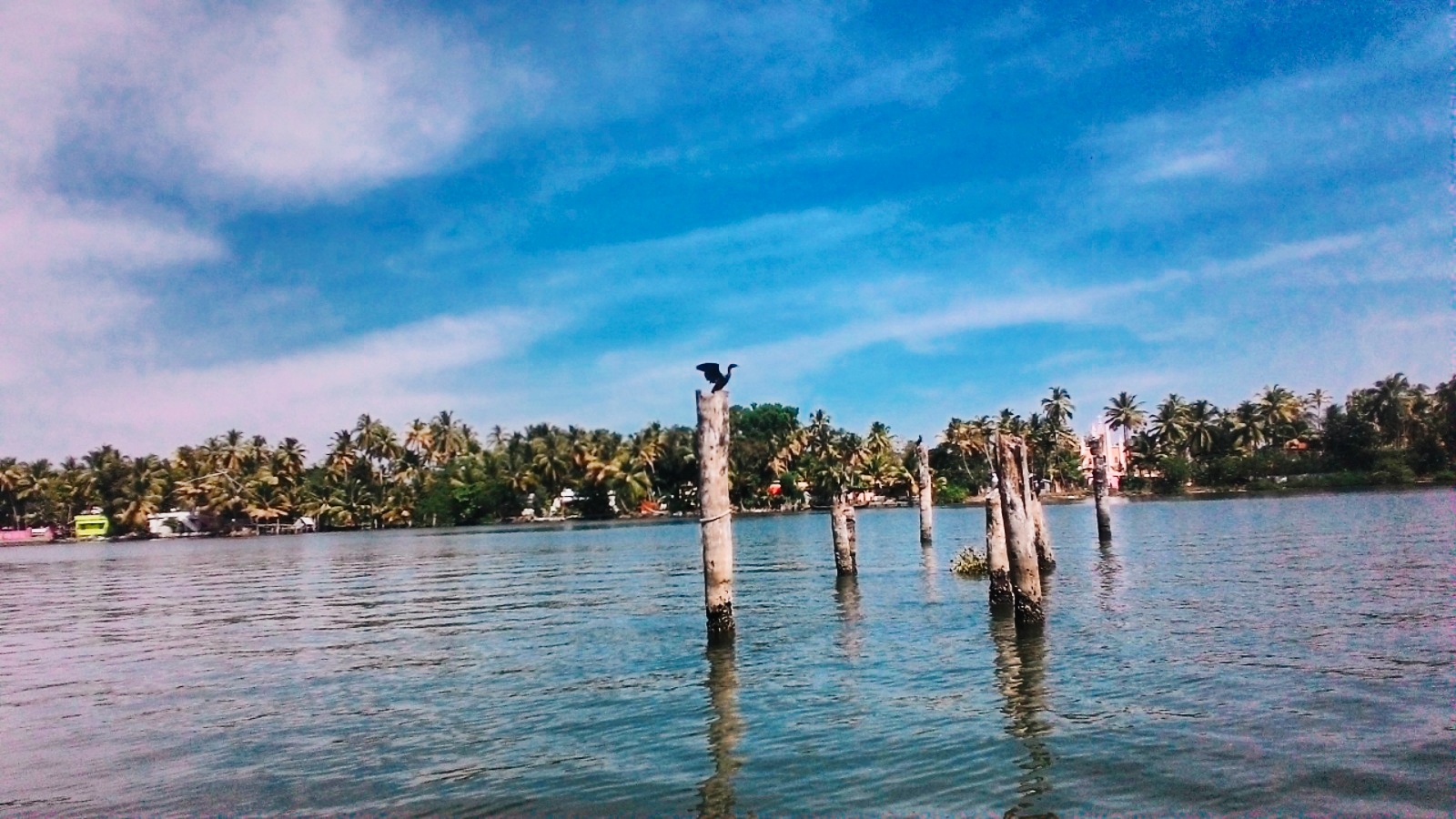 Kayamkulam image
