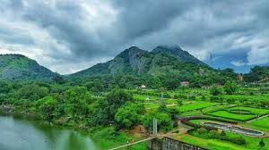 Palakkad image