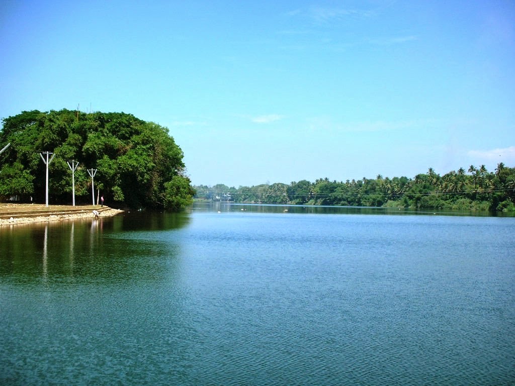 Muvattupuzha image